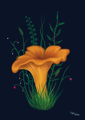 Fungi Sonhos Katarell