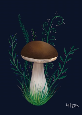 Fungi Dreams Mushroom