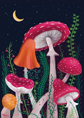 Houby snů houba v natthu
