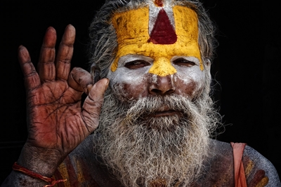 Portrait eines Hindu Sadhu
