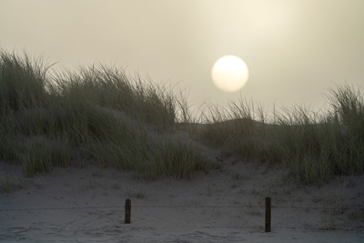 Dunes au lever du soleil
