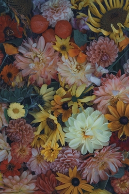 Blommor Dahlias och solrosor 