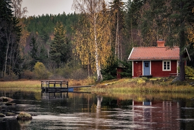 The cabin in the forest
