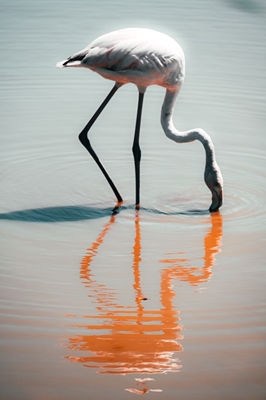 Flamingo en colores retro