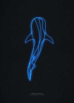 Squalo balena al neon