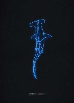 Requin-marteau Neon Art