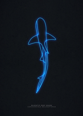 Requin de récif Art néon