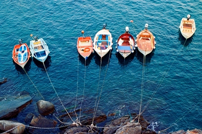 Colorful boats in the water