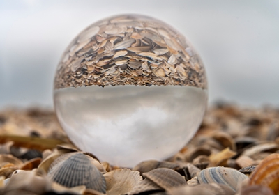 Esfera de vidro na pilha da concha