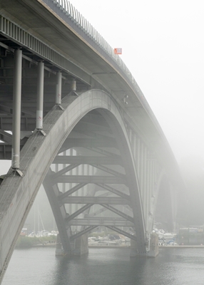 Bro i tåge