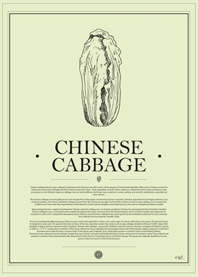 Veggie Cabbage #BlackGreen