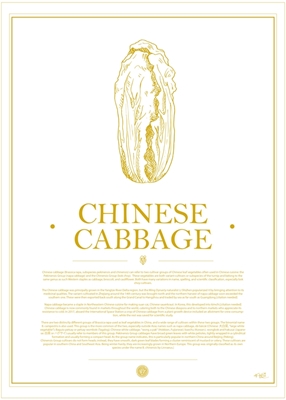 Veggie Cabbage #GoldenWhite