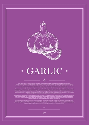 Veggie Garlic#WhitePurple