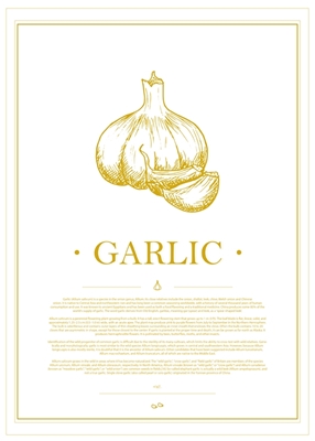 Veggie Garlic#GoldenWhite
