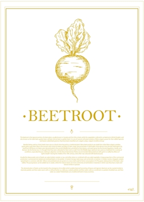 Veggie Beetroot#GoldenWhite