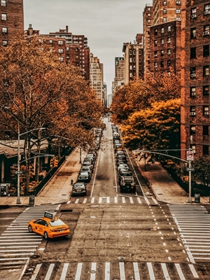 Autumn Streets of New York II
