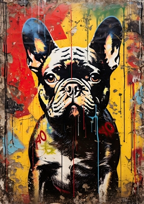 Fransk bulldog Banksy