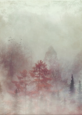  Bäume Im Nebel