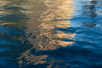 Reflejo dorado en el agua de mar