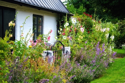 Traditional cottage garden