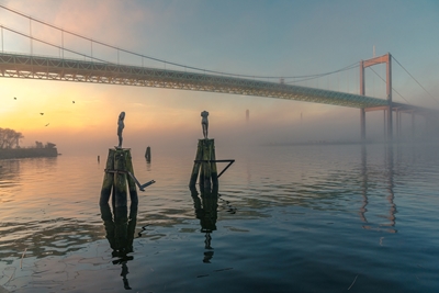 Die Älvsborg-Brücke im Nebel