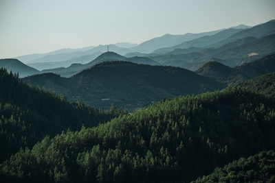 Groene heuvels Albanië
