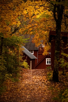 El molino de Knäred
