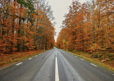De weg van de herfst