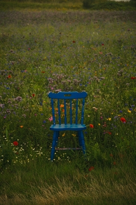 Lonely chair 