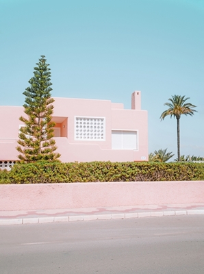 the pink palm three house 