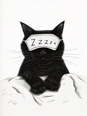Sovande svart katt