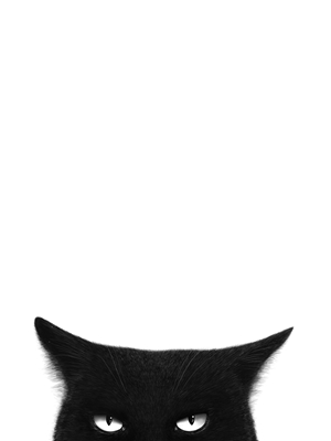 Vihainen musta kissa