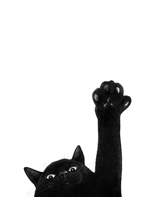 Gato negro con pata