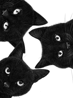 Three black cats in a circle