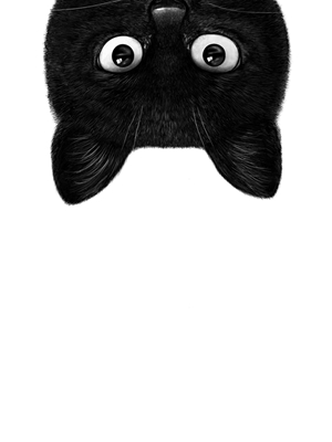 Schwarze Katze III