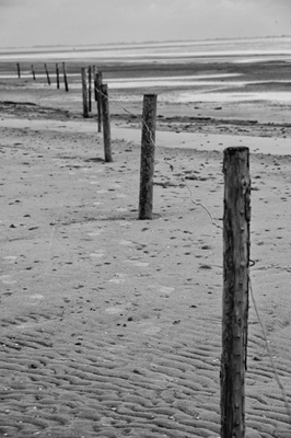 Fence in the mudflats