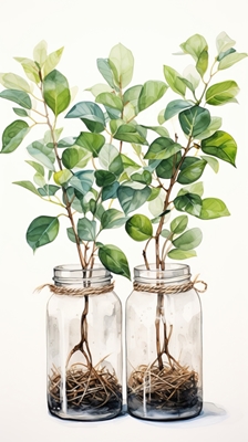 Plants in a jar 1  