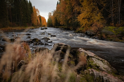River and colors of autumn
