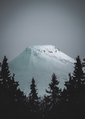 The mountain in the snow