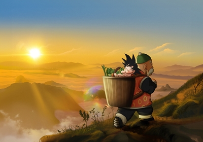 Il viaggio di nonno Goku