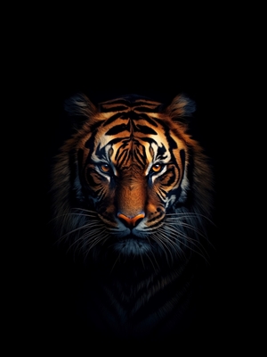 Tiger in the dark of night