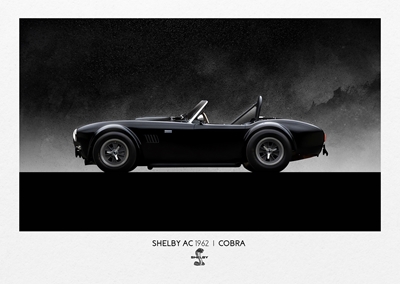 Shelby AC Cobra 1962