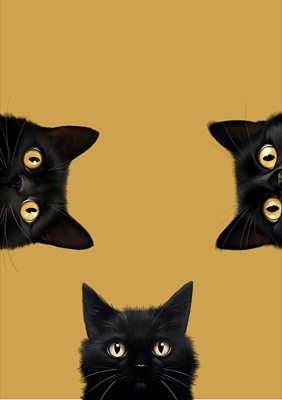 Trzy czarne kocięta. Słodki