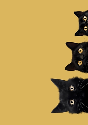 Drei schwarze Katzen. Neugier