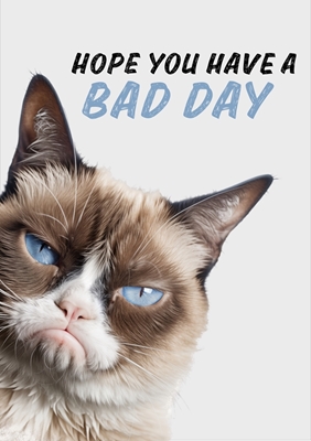 Grumpy cat. Bad day