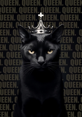Schwarze Katze. Queen.