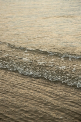 Mer dorée et vagues sur la plage