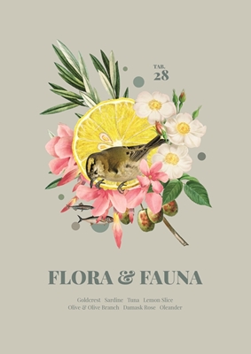 Flora & Fauna mit Wintergoldh.