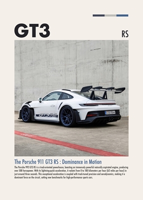 The Porsche 911 GT3 RS