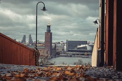 Stockholm stadsvy på hösten